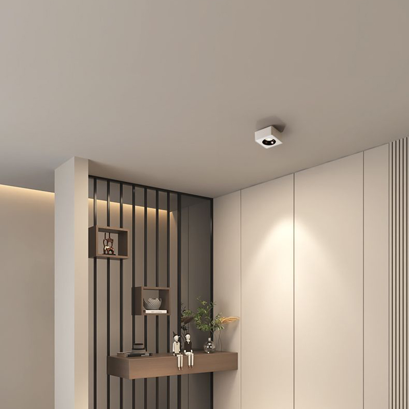 den-am-tran-slatsm-5-1