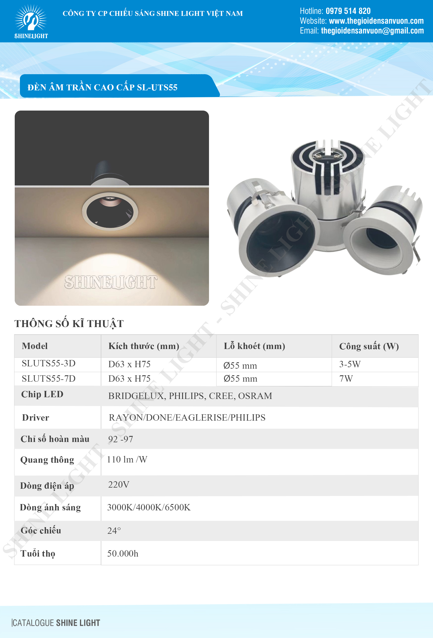 den-am-tran-sluts55-den-catalogue