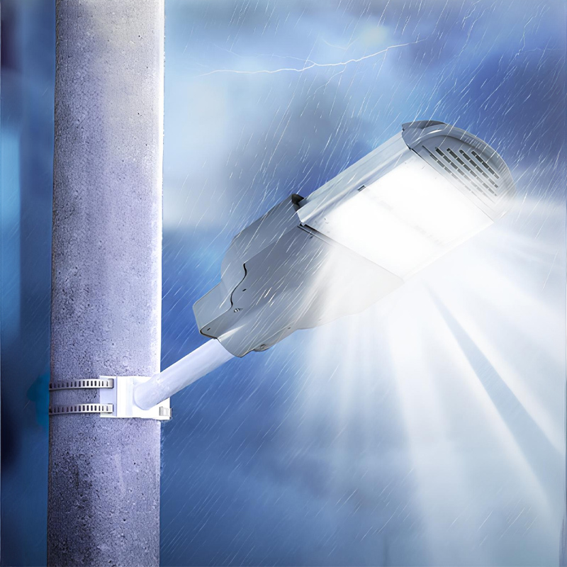 den-cap-ap-slsmd-10-1