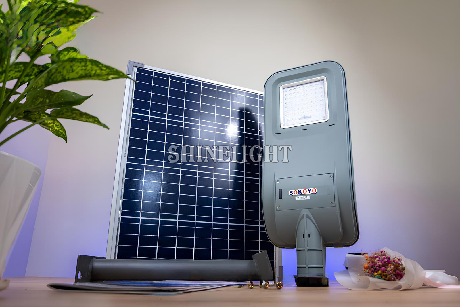 Đèn đường năng lượng mặt trời SL-TECO20