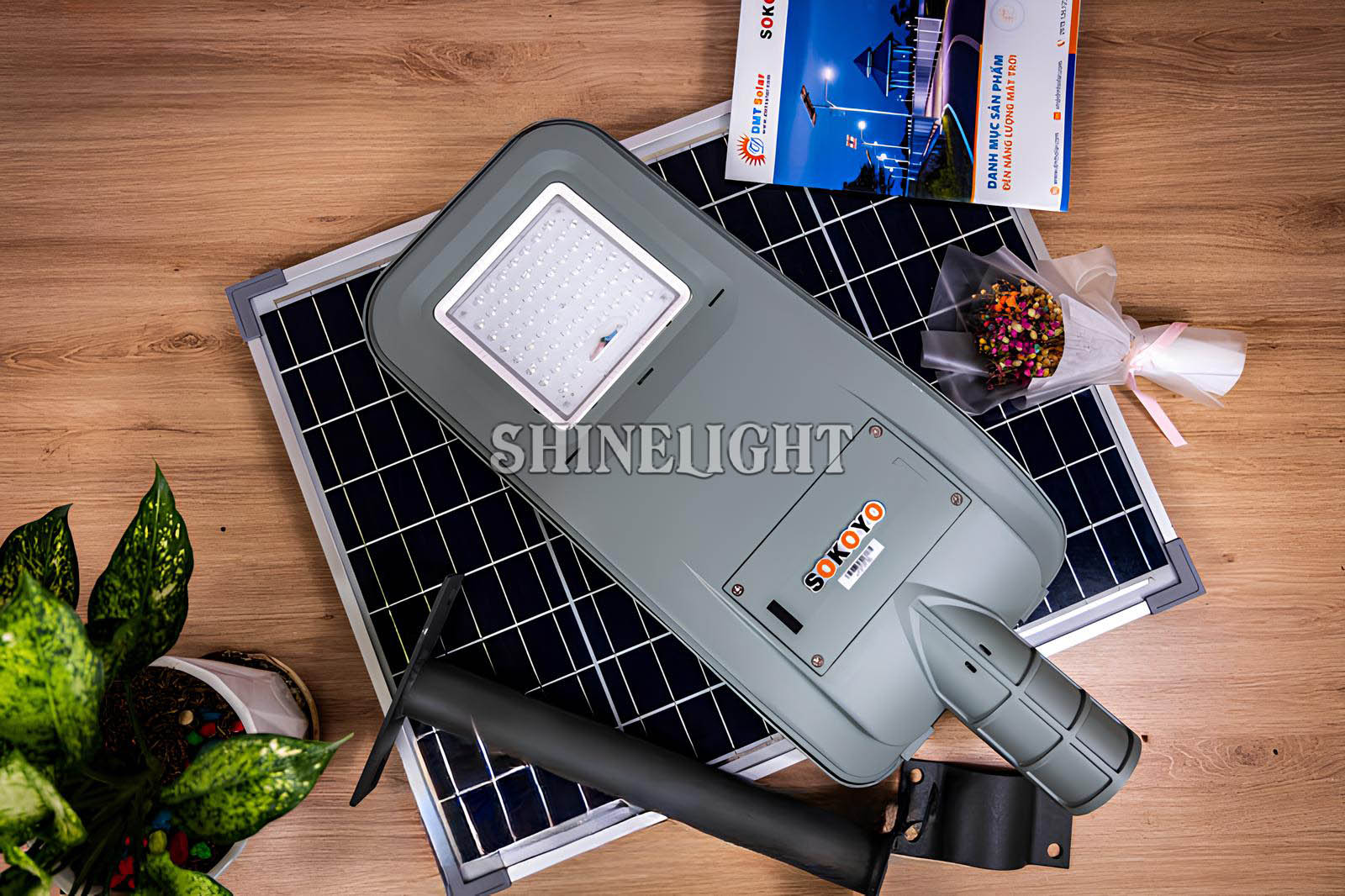 Đèn đường năng lượng mặt trời SL-TECO20