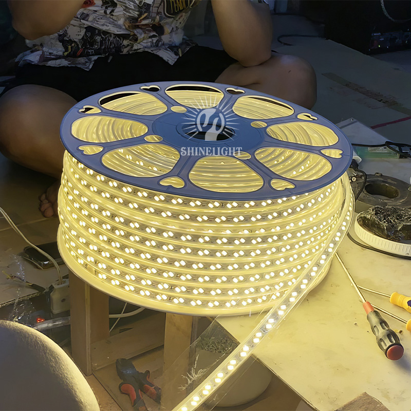 Đèn LED dây 2 hàng bóng SLSW5730