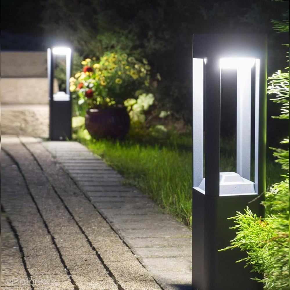 nấm 4 thanh cao cấp