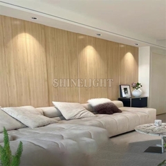 den-am-tran-ccg73-chung2 DOWNLIGHT ÂM TRẦN SLCCG73