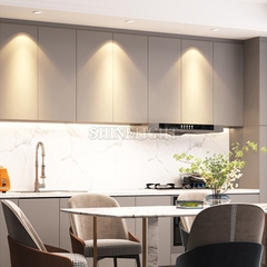 den-am-tran-cvip75-chung3 ĐÈN DOWNLIGHT ÂM TRẦN SLCVIP75.