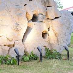 den-cam-co-slrc68-5 Đèn rọi cây cao cấp SLRC68