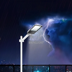 den-cao-ap-datini-2-1 Đèn cao áp Datini 60W