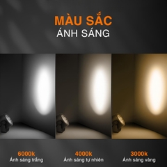 den-chieu-cay-slrchd-5 Đèn chiếu cây SLRCHD