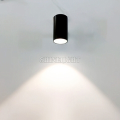 den-chieu-cay-slt12-05 ĐÈN CHIẾU CÂY SLT12