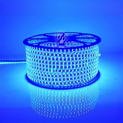 den-led-day-slsw2835-v4-2 Đèn LED dây 2 hàng bóng SLSW2835-V4