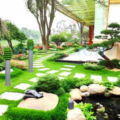 den-nam-cay-thong-3 Đèn nấm cây thông