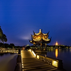 den-om-goc-cay-slstree09-7 Đèn led hắt cây SLSTREE09