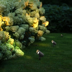 sl-cc4a-10 Đèn cắm cỏ SLCC4A