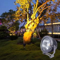 sl-rcdnt-6 Đèn rọi cột SL-RCDNT